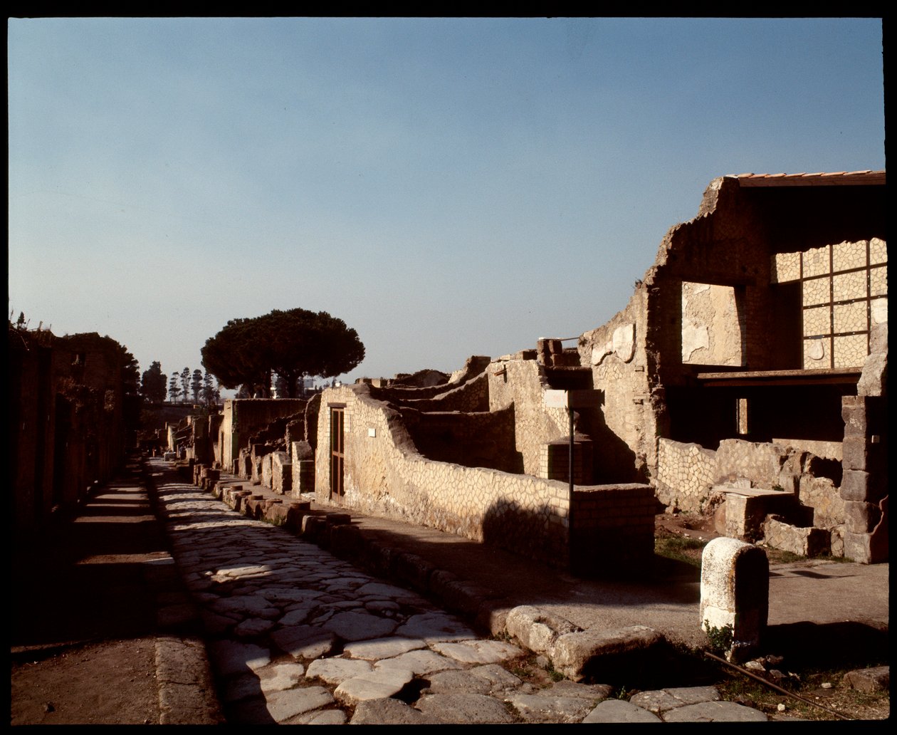 Kilátás a Decumanus Maximusra, Kr.e. 5. század – Kr. u. 1. század alkotó: Roman Roman
