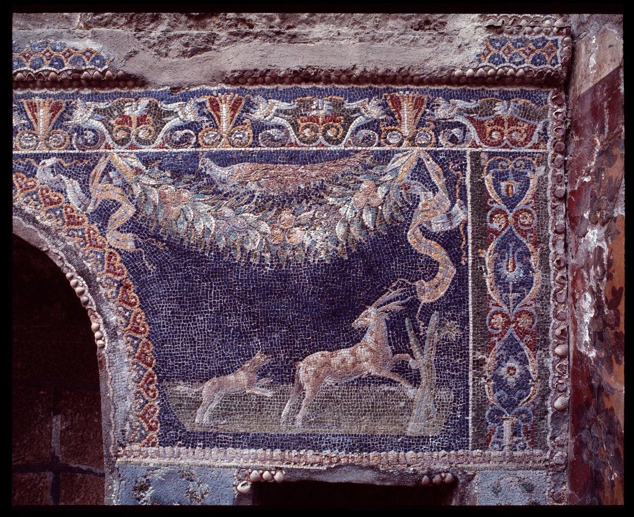 A casa di Nettuno e Anfitrite nimphaeum falmozaikjai, Herculaneum helye, Kr.e. 5. század – Kr. u. 1. század alkotó: Roman Roman