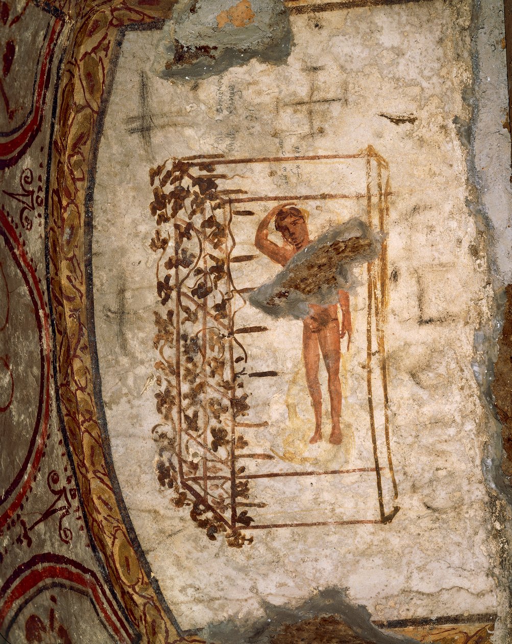 Ifjúság, rács és szőlő, Kr.u. 3-5. század (freskó) alkotó: Roman Roman