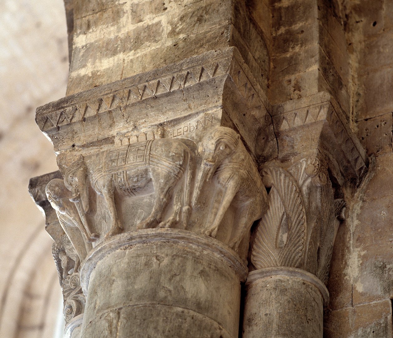 Elefántok (a hajó faragott fővárosa alkotó: Romanesque