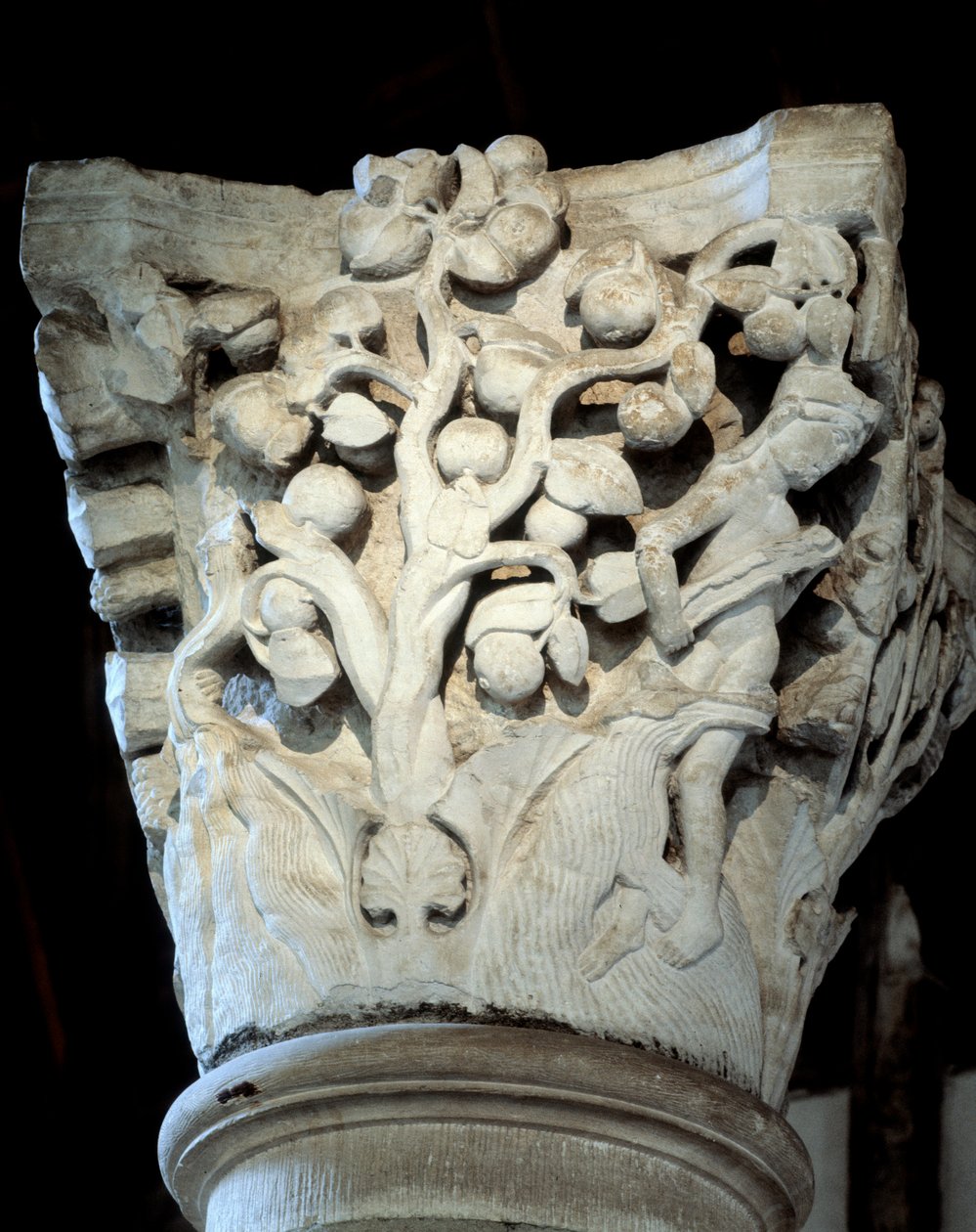 Paradicsom: fügefa és almafa, a kórus fővárosa (szobor alkotó: Romanesque