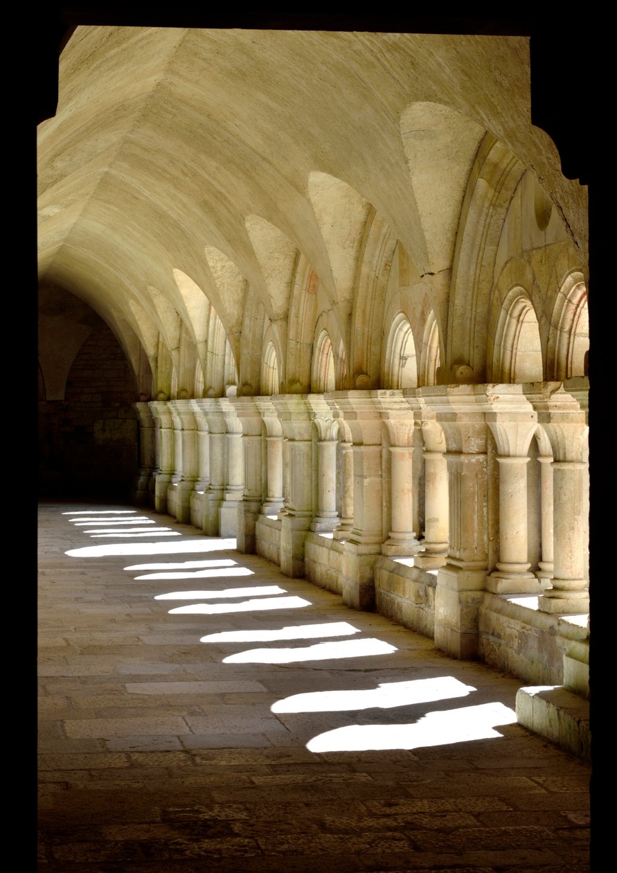 Román építészet: a burgundi Fontenay ciszterci apátság kolostorának galériája alkotó: Romanesque