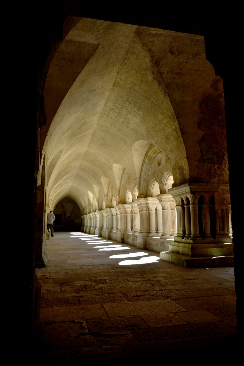 Román építészet: a burgundi Fontenay ciszterci apátság kolostorának galériája alkotó: Romanesque