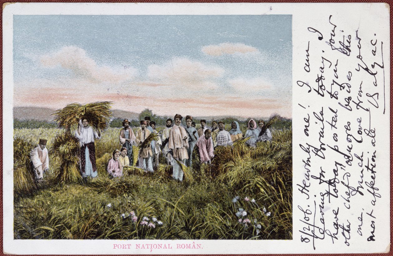 Román parasztok aratását ábrázoló képeslap, 1906 alkotó: Romanian School