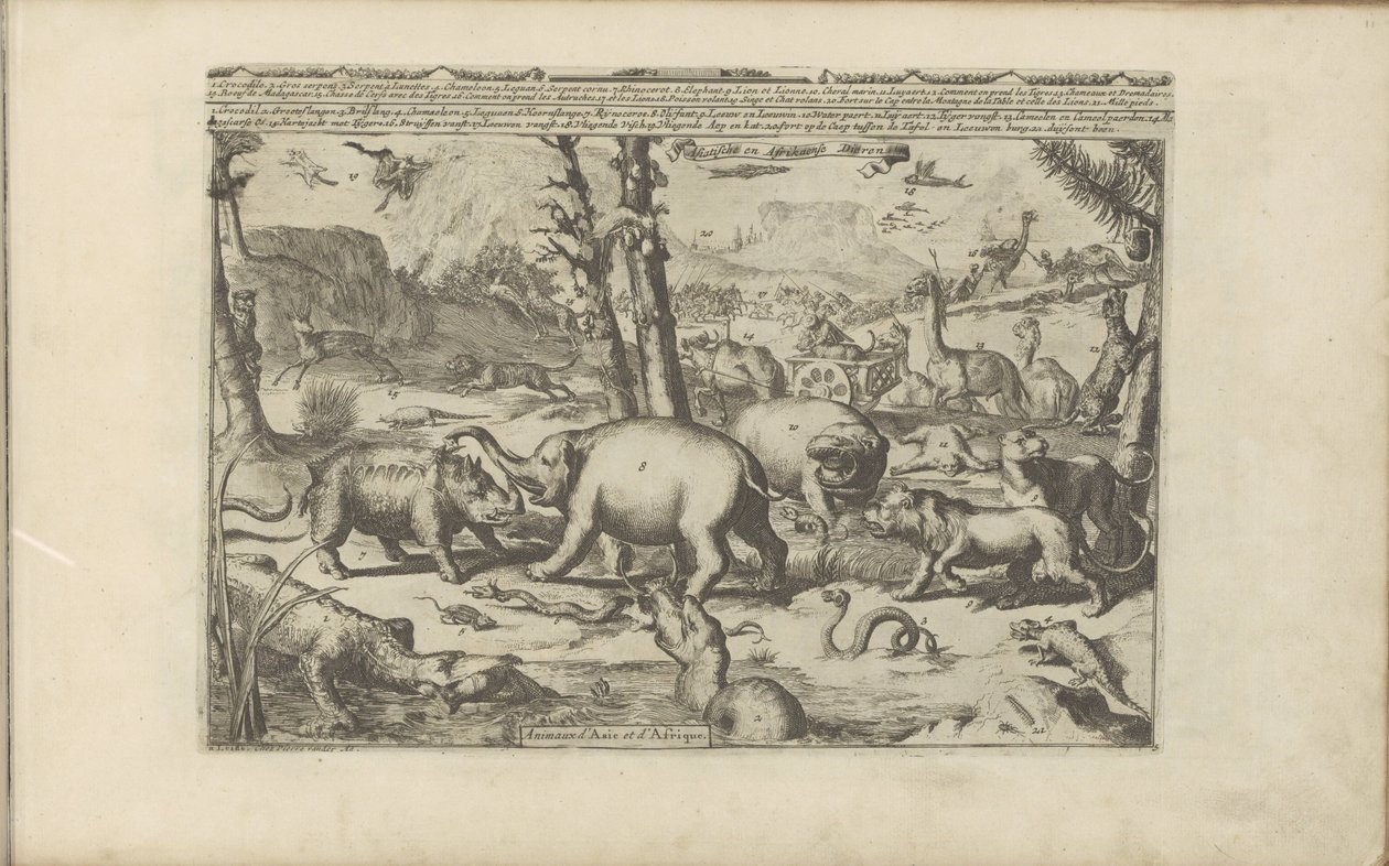 Aziatische en afrikaanse dieren Aziatische en Afrikaanse dieren / Ázsia és Afrika állatai (cím a tárgyon) Kelet- és Nyugat-India és más helyek (sorozat címe) alkotó: Romeyn de Hooghe