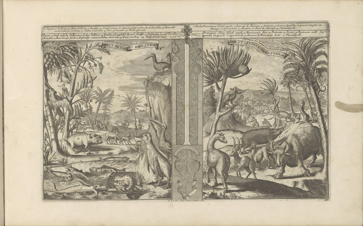 Dieren uit Nyugat-India West Indische Beesten / A Nyugat-Indiák állatai (cím a tárgyon) Kelet- és Nyugat-India és más helyek (sorozat címe) alkotó: Romeyn de Hooghe