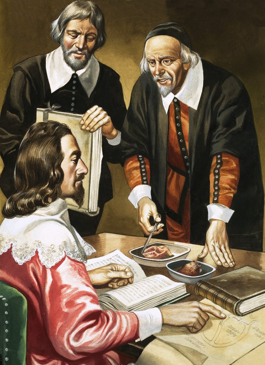 I. Károly és William Harvey a szívről tárgyalva alkotó: Ron Embleton