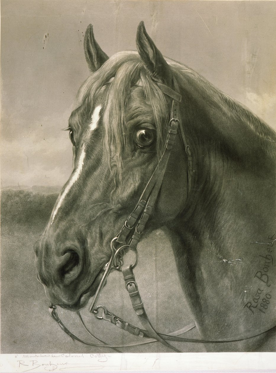 Cody ezredesnek alkotó: Rosa Bonheur