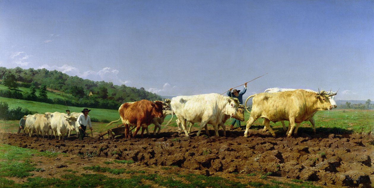Szántás Nivernaisban, 1849 alkotó: Rosa Bonheur