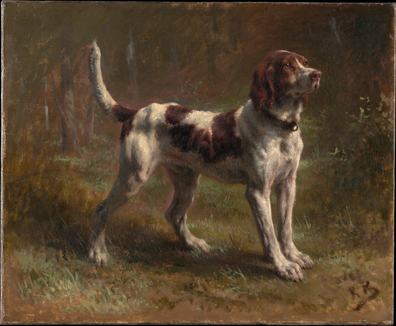 Egy Bloodhound Lighter Hound alkotó: Rosa Bonheur