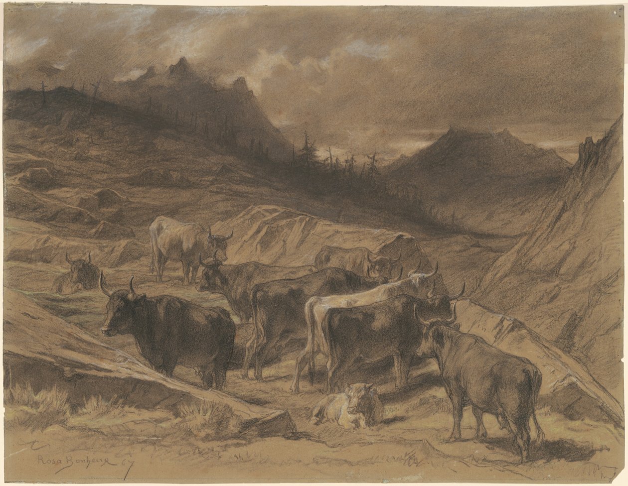 Szarvasmarha az Auvergne-ben alkotó: Rosa Bonheur