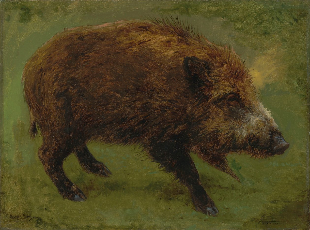 Franciául:  Le sanglier Vaddisznó alkotó: Rosa Bonheur
