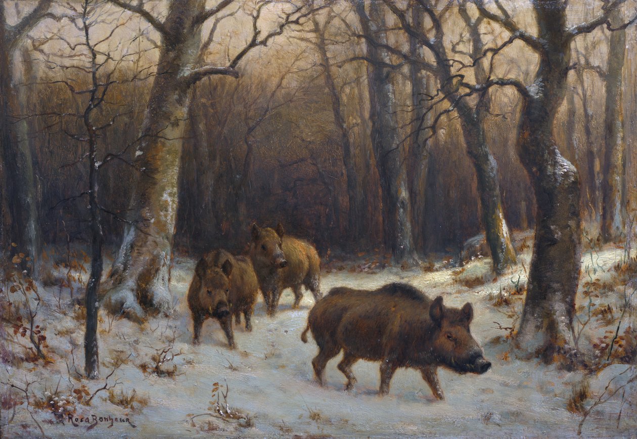 Franciául:  Sangliers dans la neige Vaddisznók a hóban alkotó: Rosa Bonheur