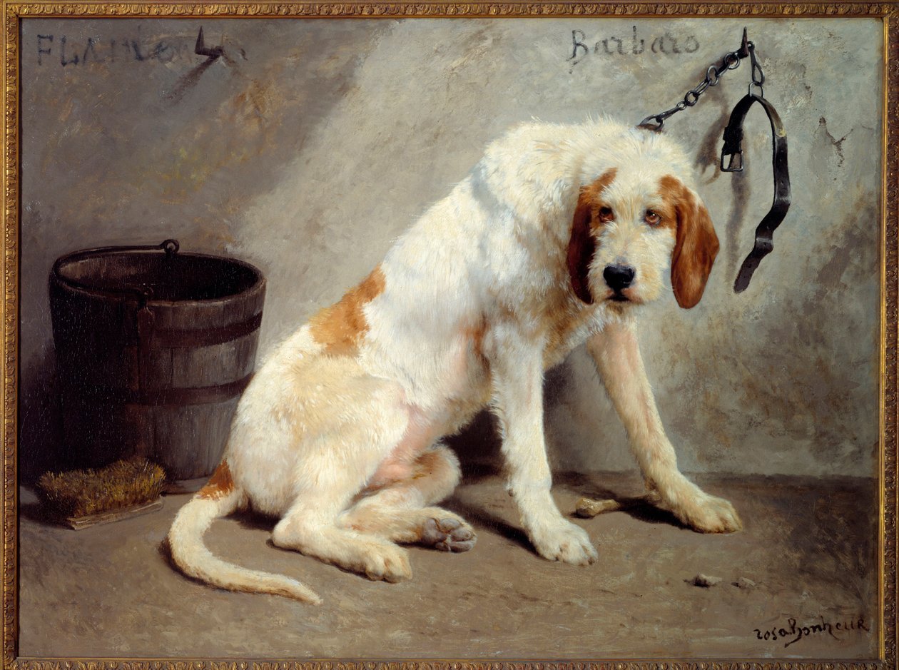 Le chien Barbaro apres la chasse (Chien de chasse) alkotó: Rosa Bonheur