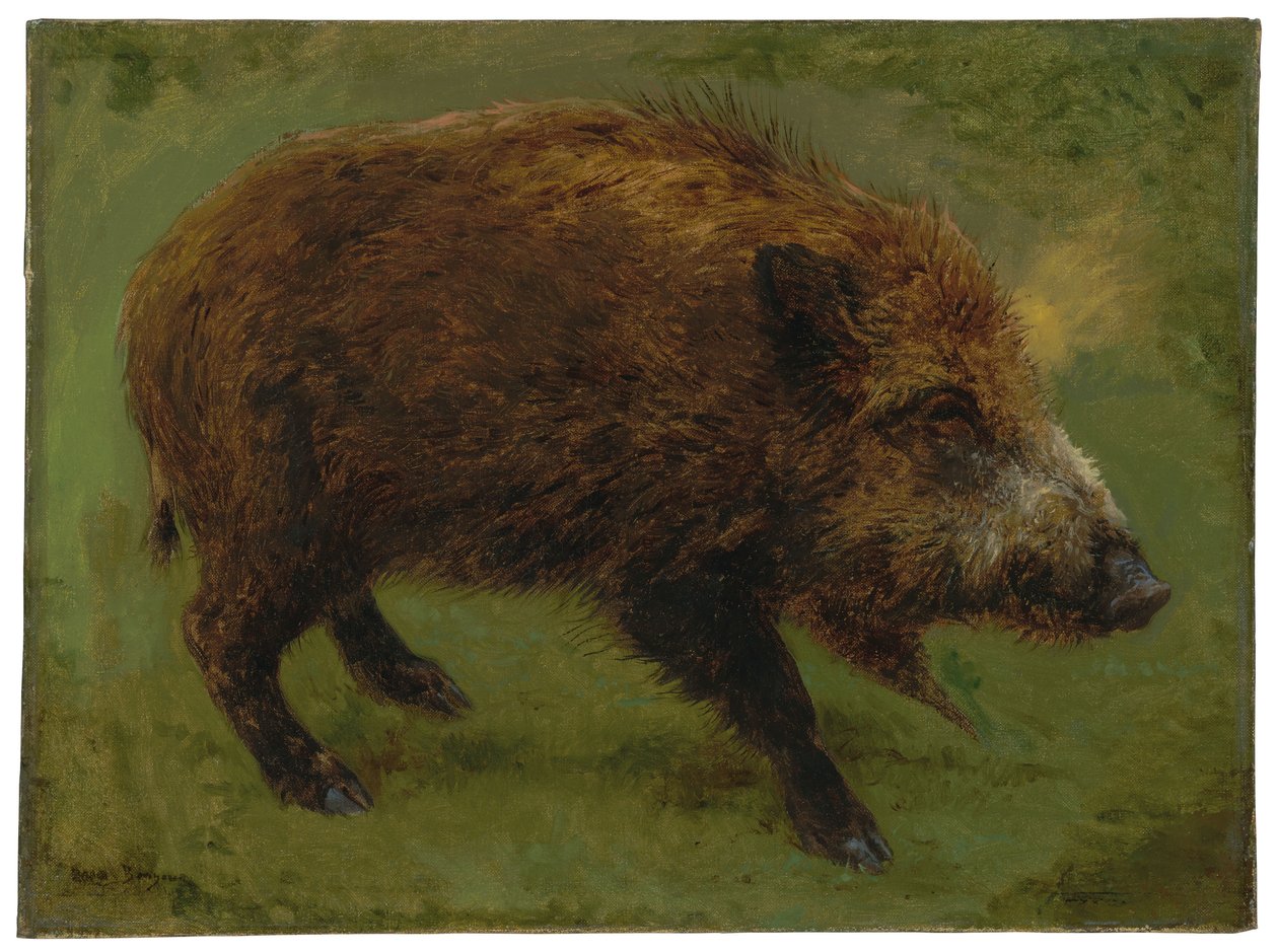 A vaddisznó (olaj, vászon) alkotó: Rosa Bonheur