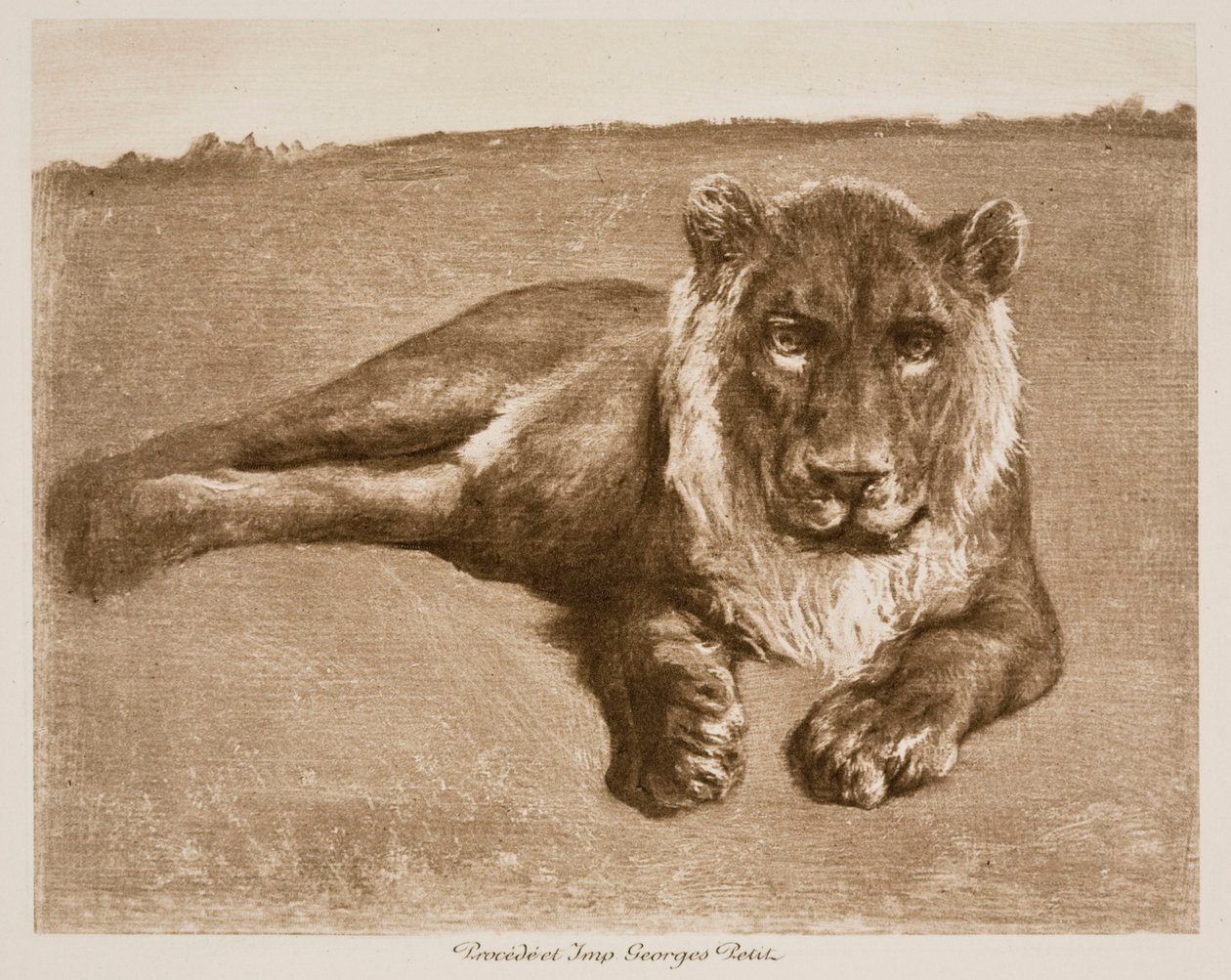 Oroszlán alkotó: Rosa Bonheur