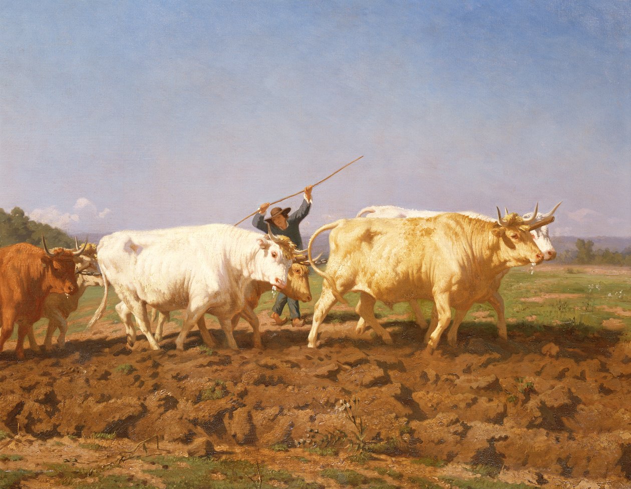 Szántás a Nivernaisban, 1850 részlet a 60149-ből alkotó: Rosa Bonheur