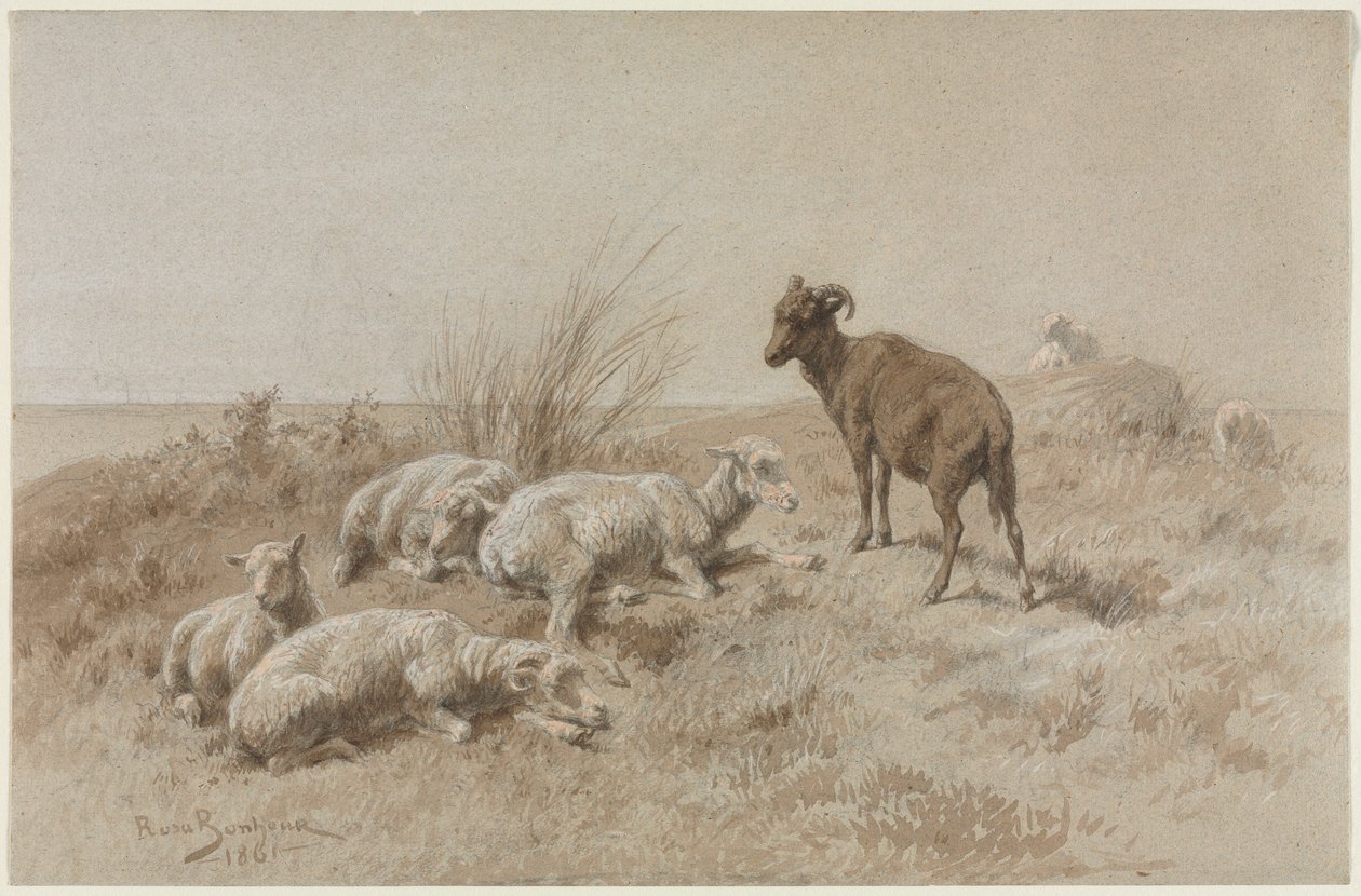 Juh alkotó: Rosa Bonheur