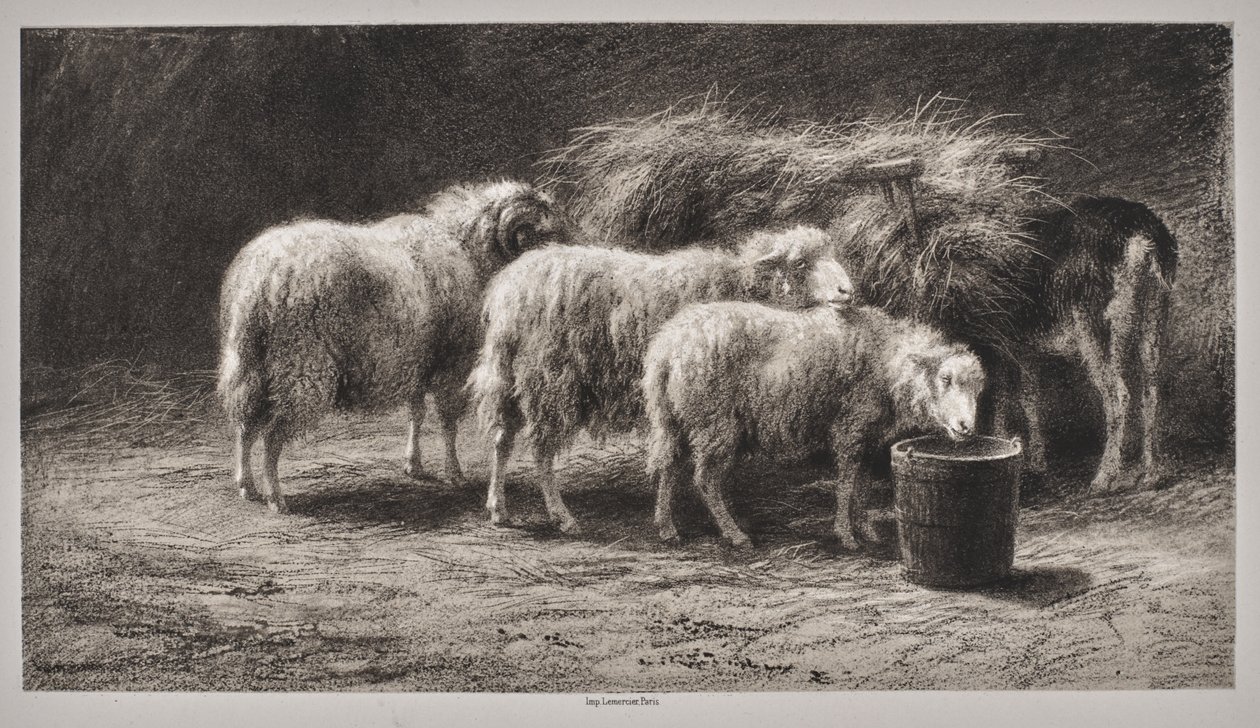 Juhakol alkotó: Rosa Bonheur