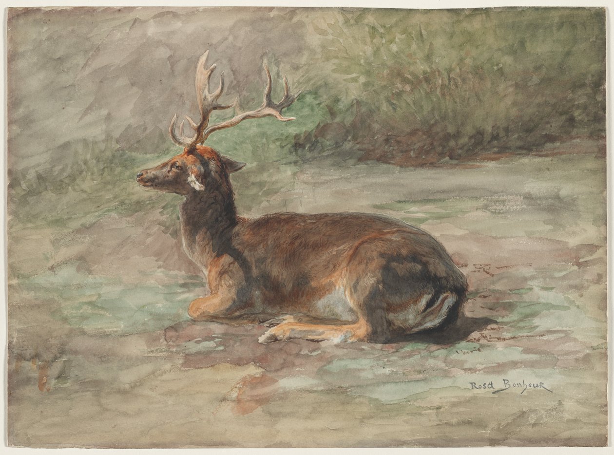 Szarvasbika fekve alkotó: Rosa Bonheur