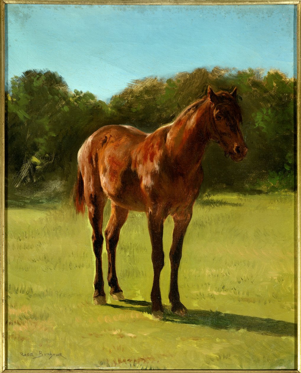 A lóbai cseresznye tanulmányozása. Rosa Bonheur (1822-1899) festménye alkotó: Rosa Bonheur