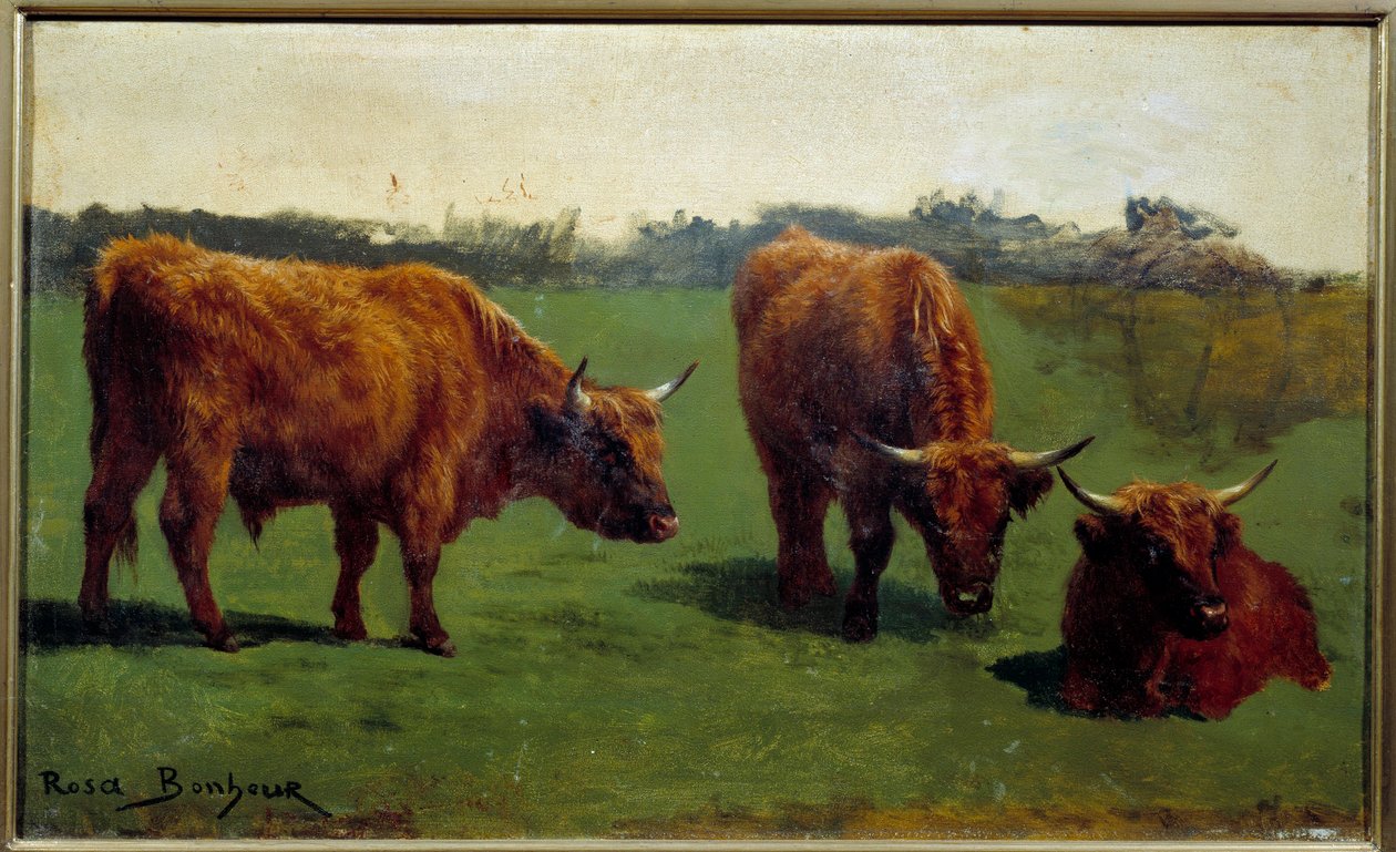 Három tanulmány egy vörös marhahúsról egy pre. Rosa Bonheur (1822-1899) festménye alkotó: Rosa Bonheur