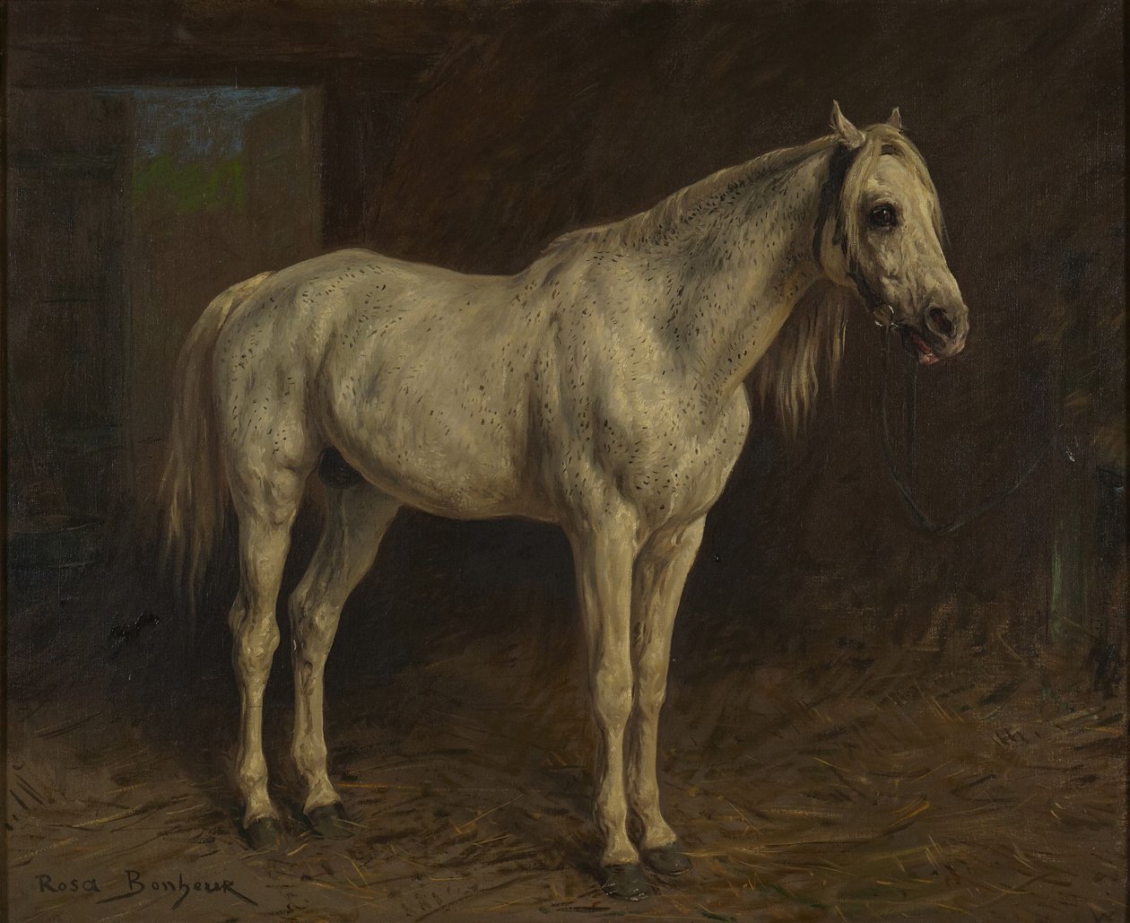 Fehér ló alkotó: Rosa Bonheur