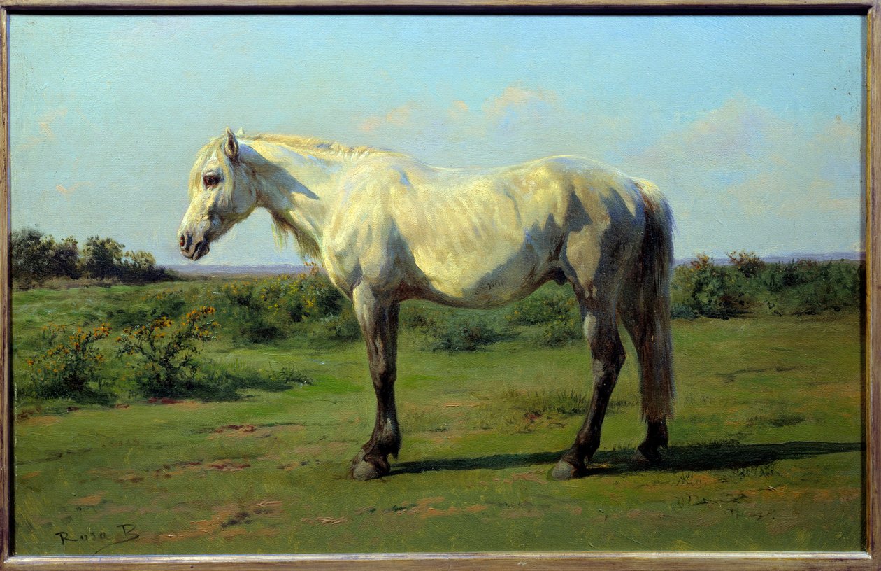 Fehér ló egy elő. Rosa Bonheur (1822-1899) festménye alkotó: Rosa Bonheur