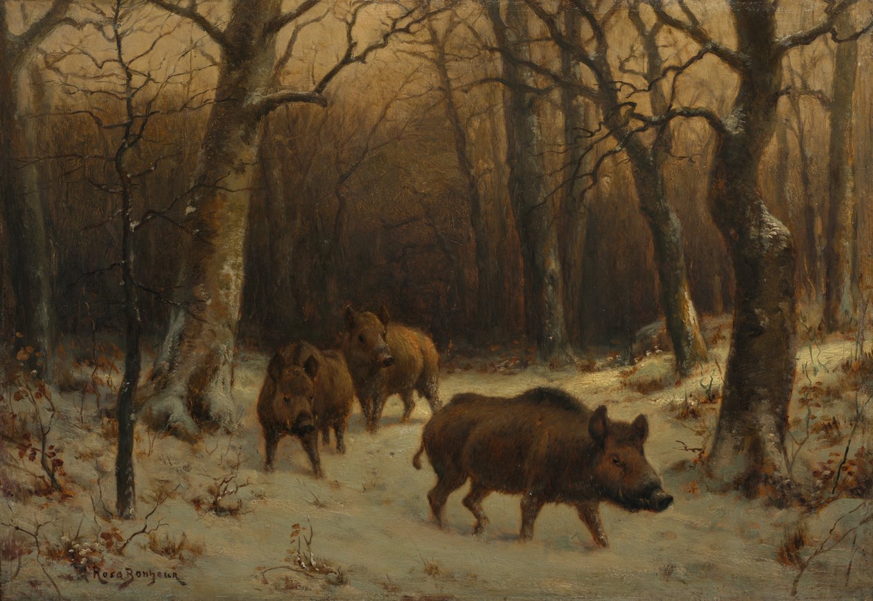 Vaddisznók a hóban c. 1872-1877. alkotó: Rosa Bonheur