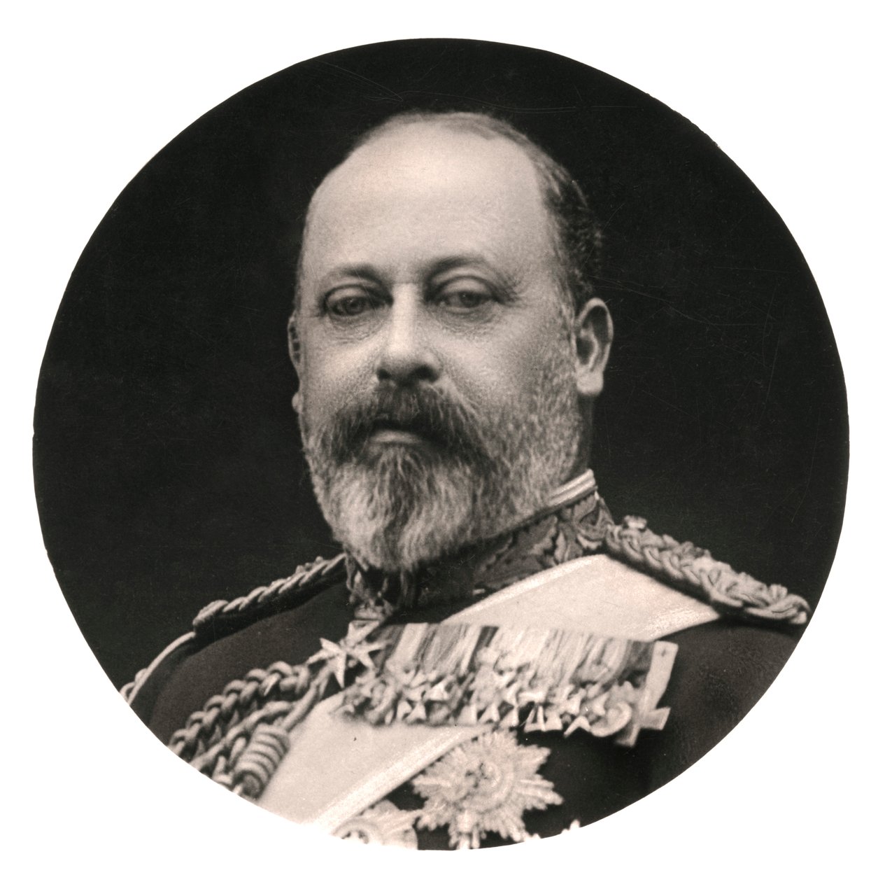VII. Edward király, XX. század. alkotó: Rotary Photo
