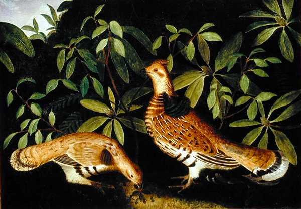 Két rózsafajd az Underbrushban alkotó: Rubens Peale