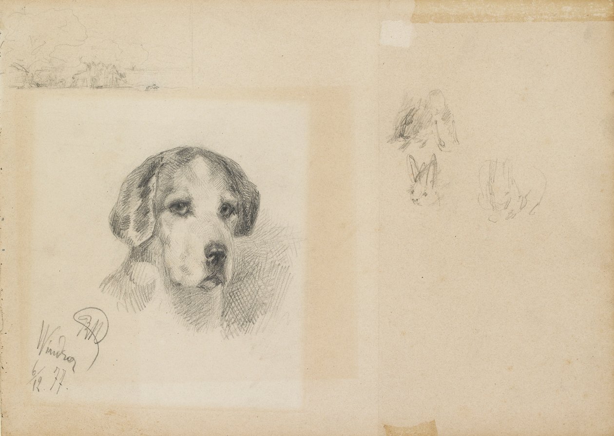 Kutyaportré: Windsor, 1877 alkotó: Rudolf Wimmer