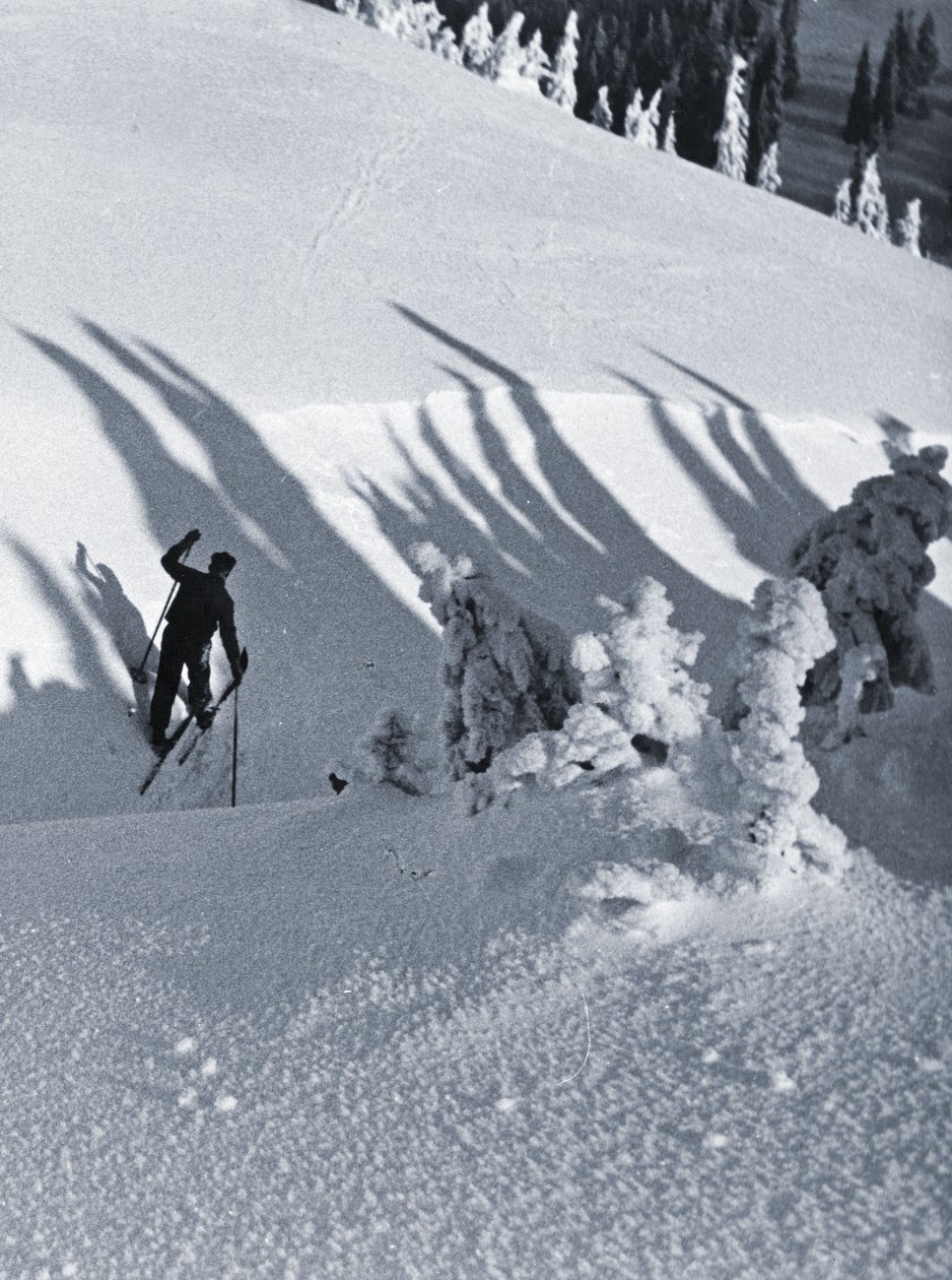 A síelő, 1928 (cianotípia) alkotó: Rudolph Koppitz