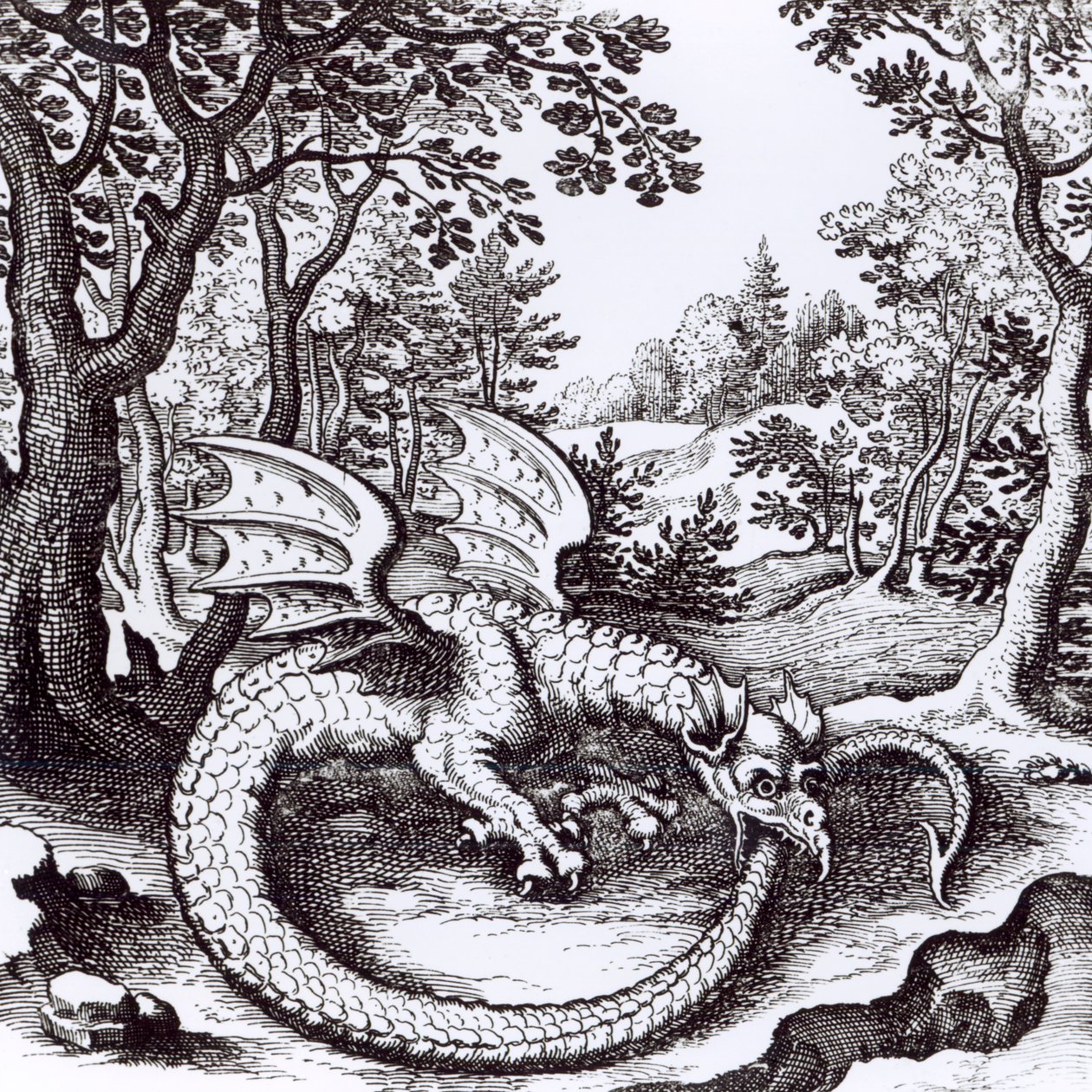 Sárkány az erdőben, Basil Valentine "Musaeum Hermeticum Reformatum" című művéből, 1678 alkotó: Russian School
