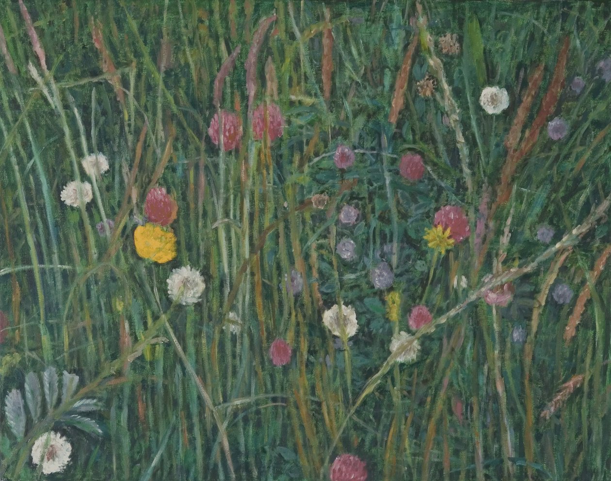 A machair növényei, 2008 alkotó: Ruth Addinall