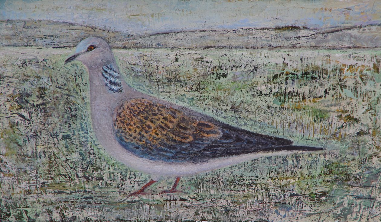 Turtle Dove alkotó: Ruth Addinall