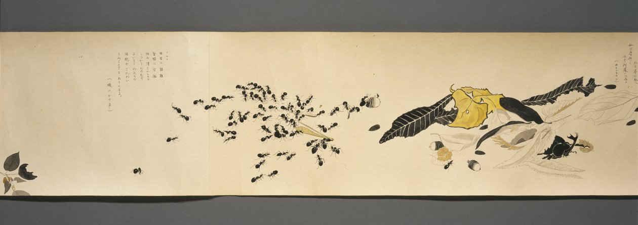 Wildlife Friends (Yasei no Tomo), Taisho Period, Taisho 7th Year, 1918 körül (tinta és wc csillámmal díszített szőtt papíron) alkotó: Ryoka Kawakami