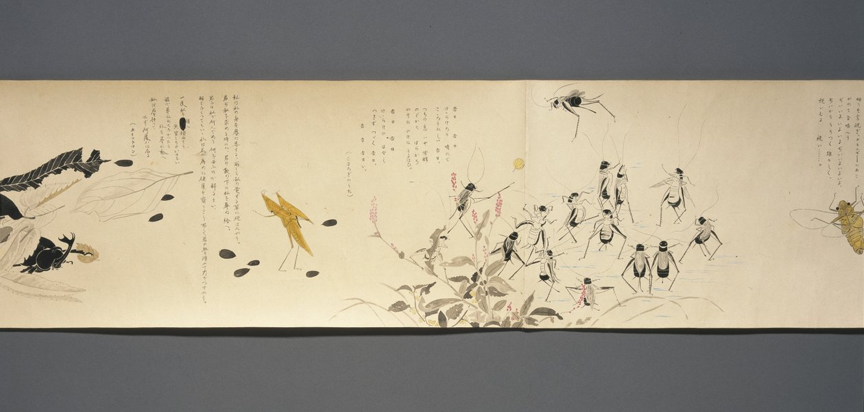 Wildlife Friends (Yasei no Tomo), Taisho Period, Taisho 7th Year, 1918 körül (tinta és wc csillámmal díszített szőtt papíron) alkotó: Ryoka Kawakami