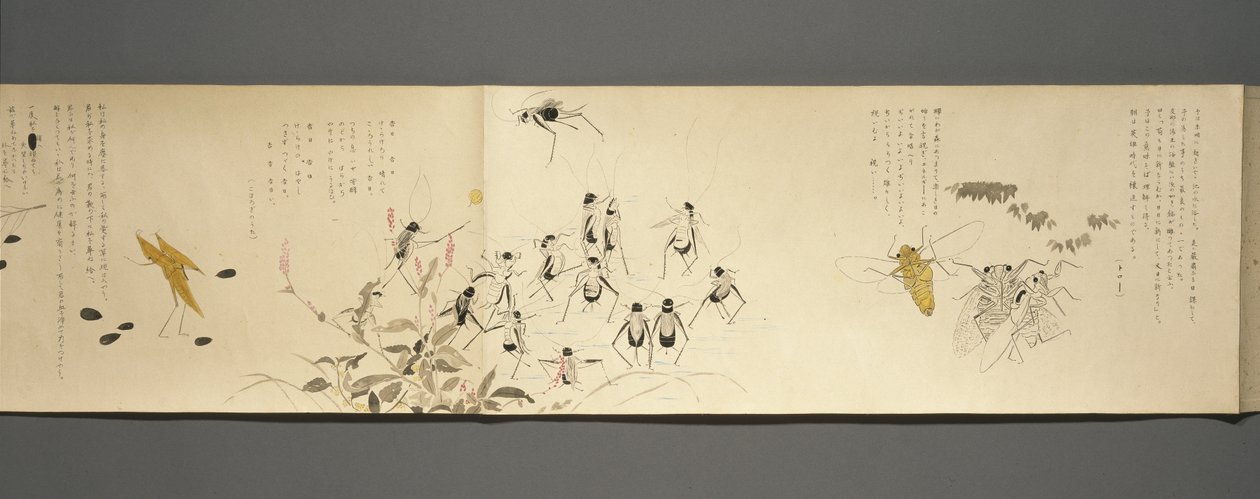 Vadon élő barátok (Yasei no Tomo), Taisho időszak, Taisho 7. év, 1918 körül (tinta és wc, csillámmal díszített vattapapírra) alkotó: Ryoka Kawakami
