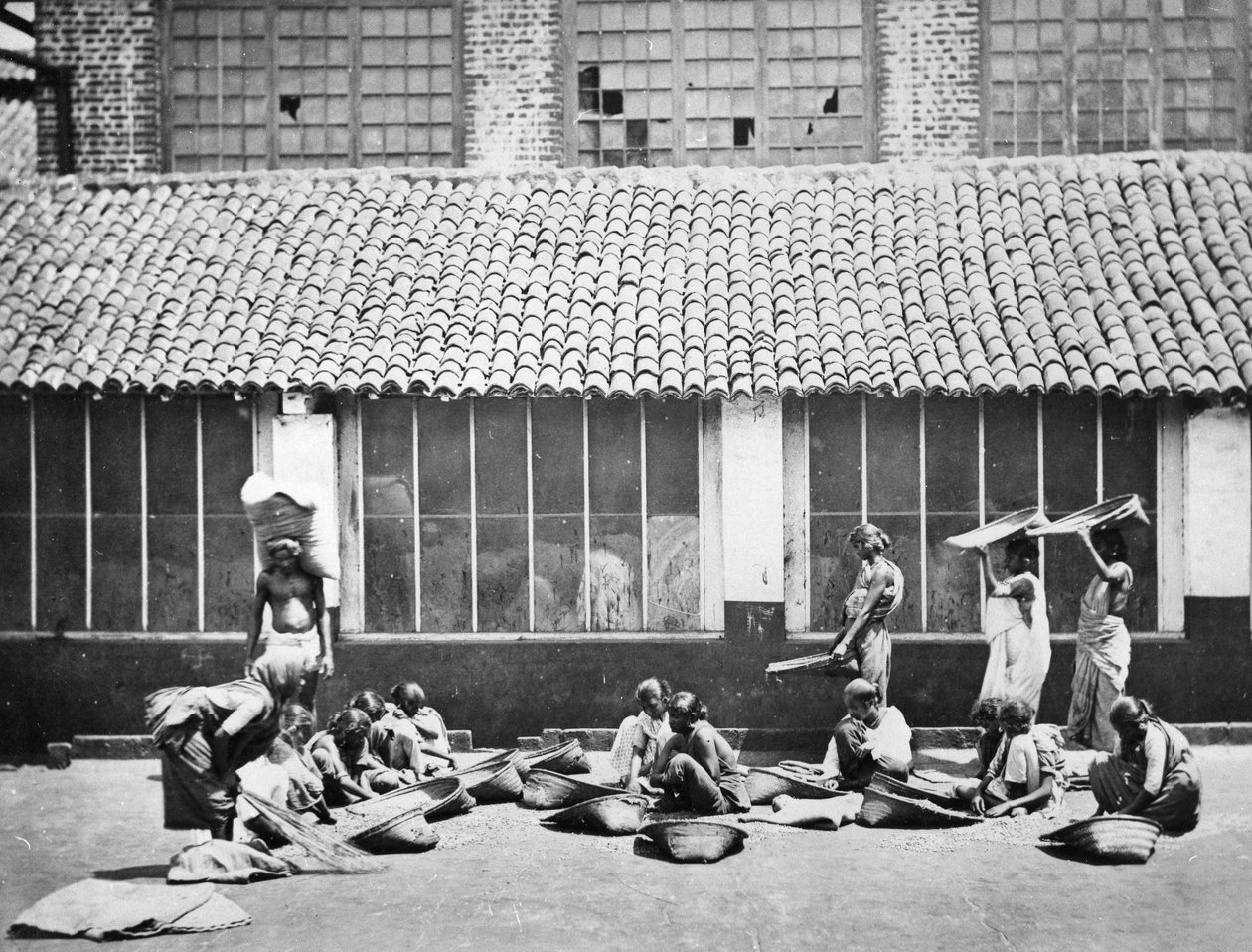Tisztító és válogató kávé, Colombo, 1870 alkotó: S. and Shepherd, C. Bourne
