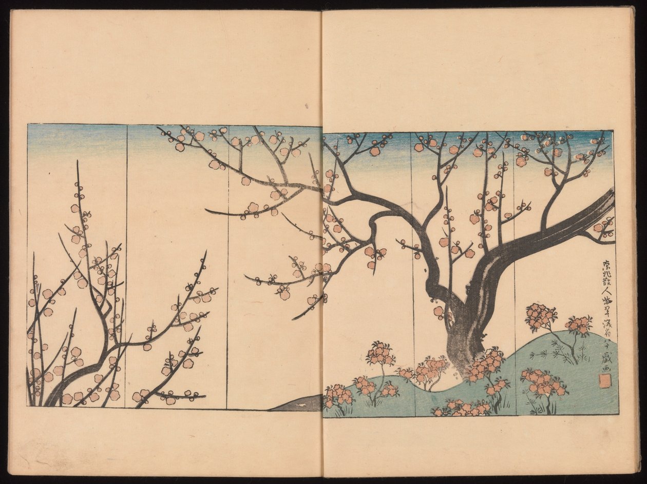 Kenzan tintanyomai (Kenzan iboku) alkotó: Sakai Hoitsu