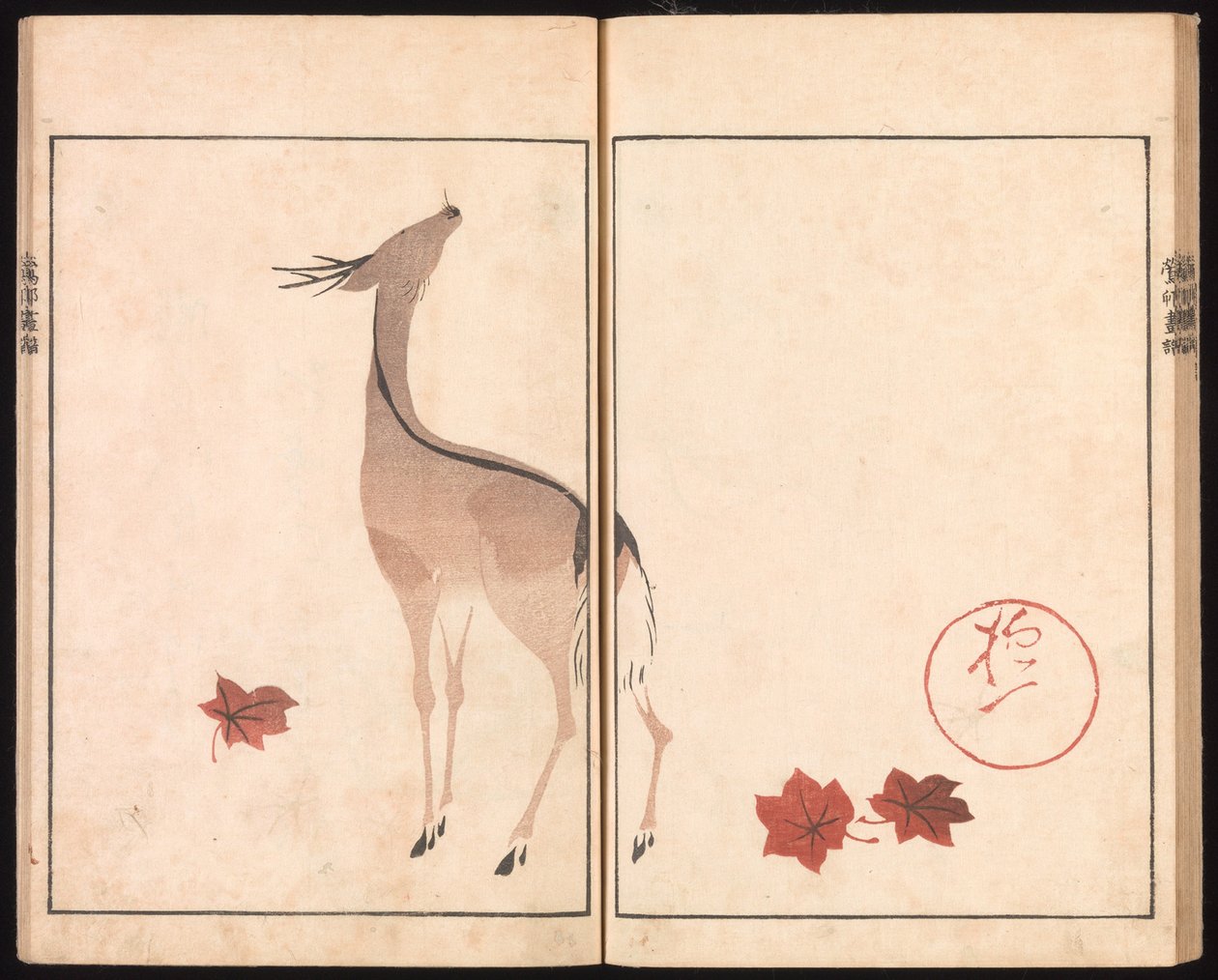 Ōson (Hōitsu) képalbum (Ōson gafu) alkotó: Sakai Hoitsu