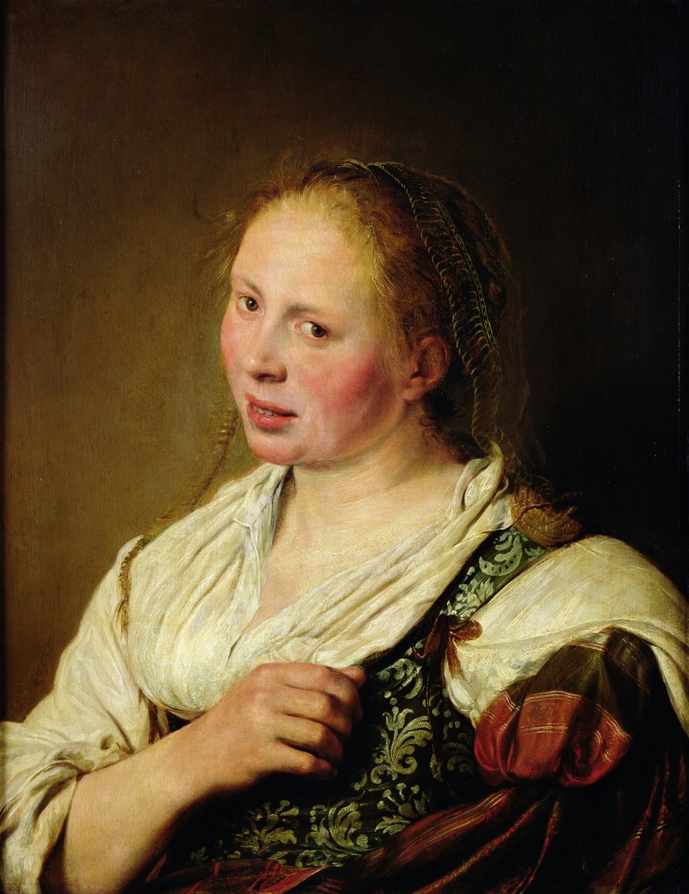 A fiatal paraszt festménye alkotó: Salomon de Bray