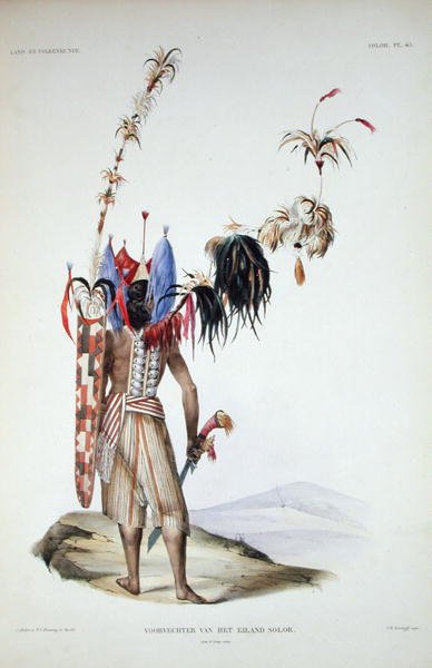 Solor-sziget harcosa, a „Discourses on the Natural History of Dutch Overseas Possessions” I. kötetéből, Coenraad Jacob Temminck, metszett: J.M. Kierdorff, megjelent 1839-44 (színes litográfia) alkotó: Salomon and Bruining T.C. (after) Muller