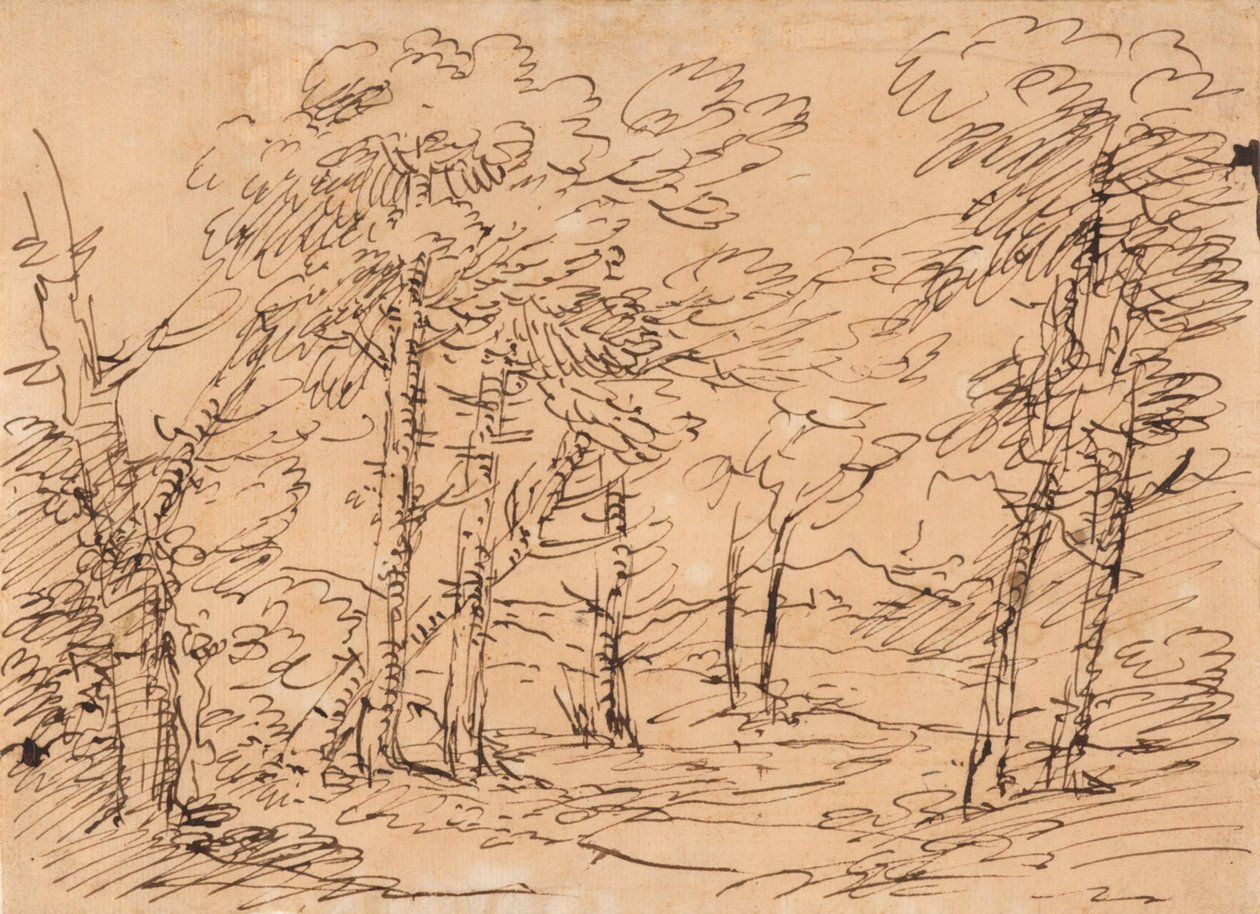 Tájkép fákkal és hegyekkel a háttérben alkotó: Salvator Rosa