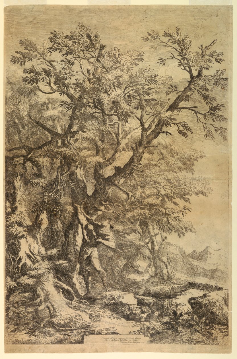 Oidipusz kiállítva a Cithaeron hegyen alkotó: Salvator Rosa