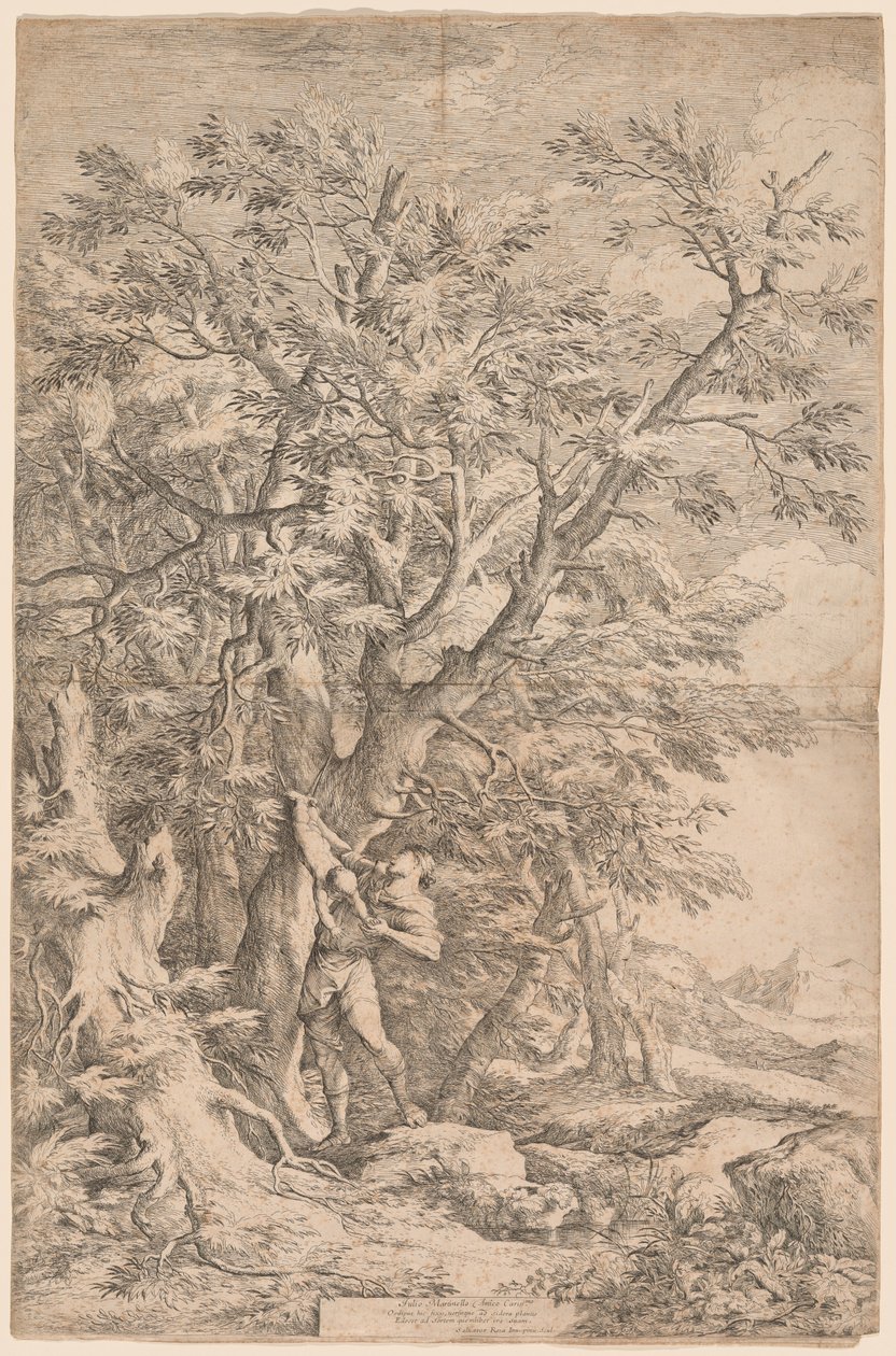 A csecsemő Oidipusz megmentése alkotó: Salvator Rosa