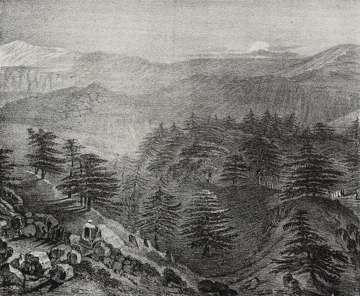 Kilátás a Libanon-hegyre híres cédrusaival, Libanon, Salvatore Puglia litográfiája a Poliorama Pittorescoból, n 10, október 15. alkotó: Salvatore Puglia
