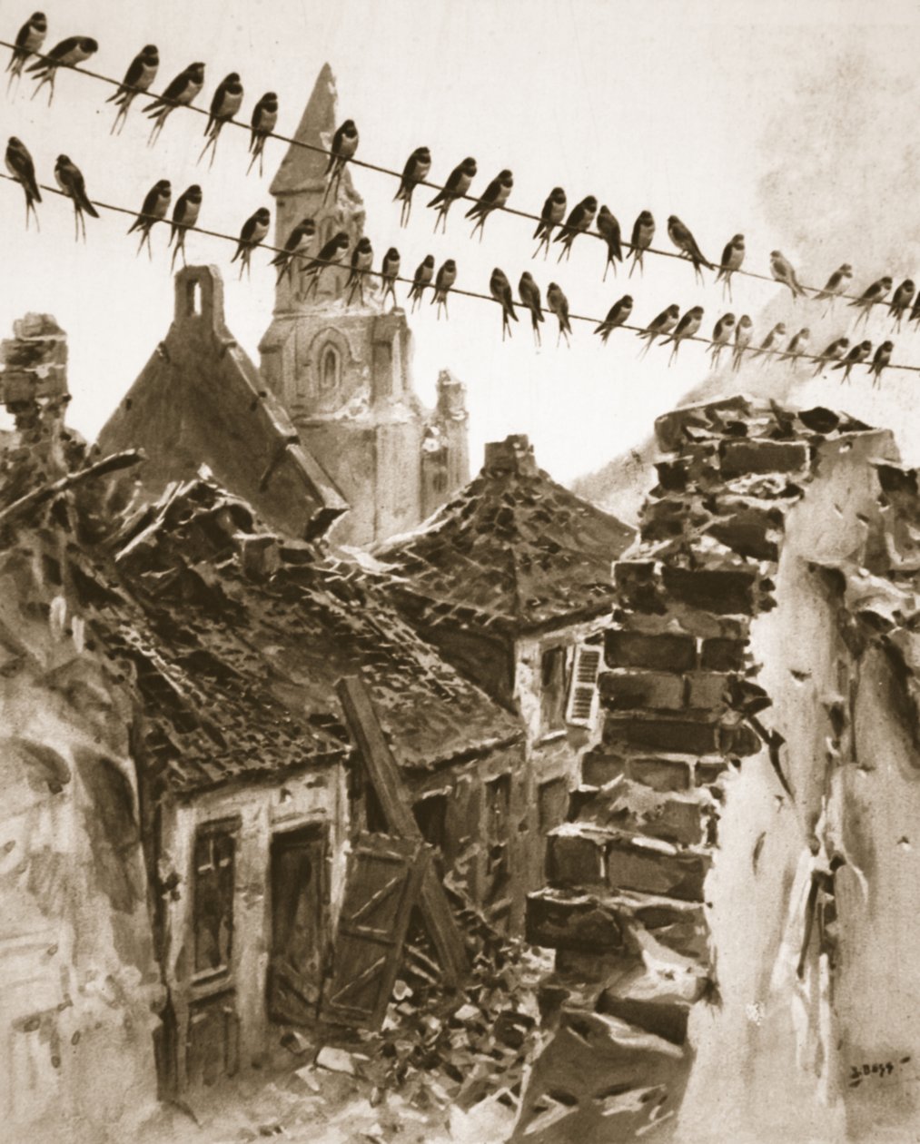 Soissons a háború alatt: fecskék kongresszusa, amelyek a migráció előtti ügyeket tárgyalják, illusztráció a „The Illustrated War News”-ból, 1916. október 25. alkotó: Samuel Begg