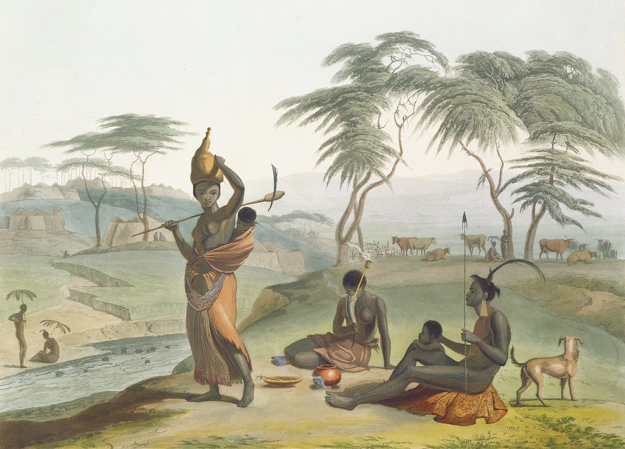 Boosh Wannahs, 8. tábla az „Afrikai tájak és állatok” című filmből, a művész által metszett, 1804 (akvatinta) alkotó: Samuel Daniell